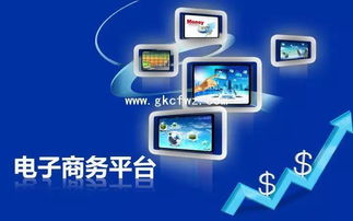 小消费，大改变 小小电商如何以电子产品撬动世界